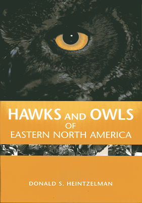 Hawks and Owls of Eastern North America