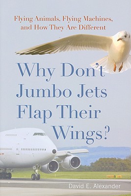 Why Don't Jumbo Jets Flap Their Wings?