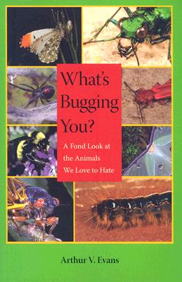 What's Bugging You?