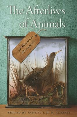 The Afterlives of Animals