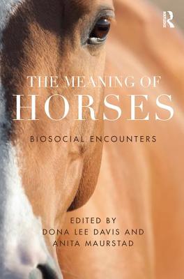 The Meaning of Horses