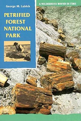 Petrified Forest National Park