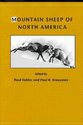 Mountain Sheep of North America