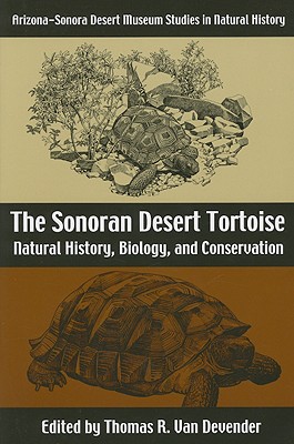 The Sonoran Desert Tortoise