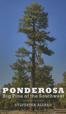 Ponderosa