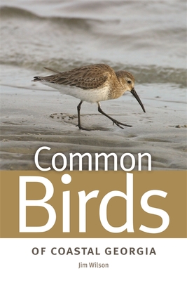 Common Birds of Coastal Georgia