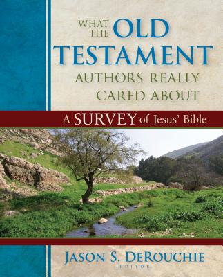 What the Old Testament Authors Really Cared Abou - A Survey of Jesus` Bible