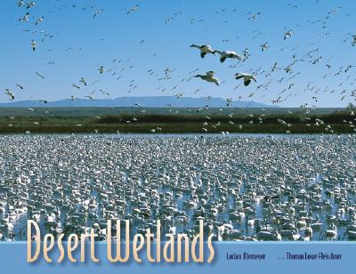 Desert Wetlands