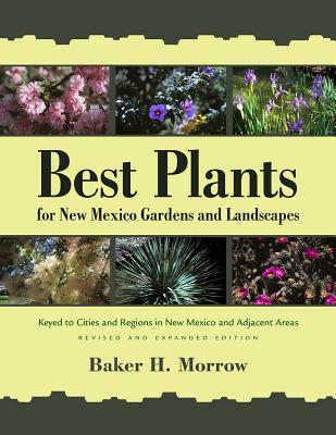 Best Plants for New Mexico Gardens and Landscapes