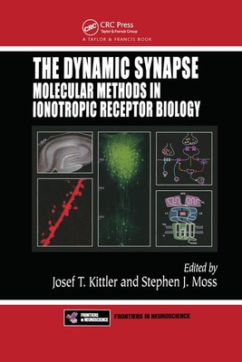 The Dynamic Synapse