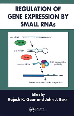 Regulation of Gene Expression by Small RNAs