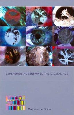 Experimental Cinema in the Digital Age