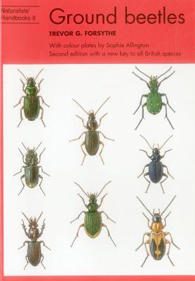 Ground beetles