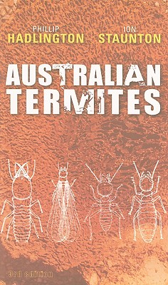 Australian Termites