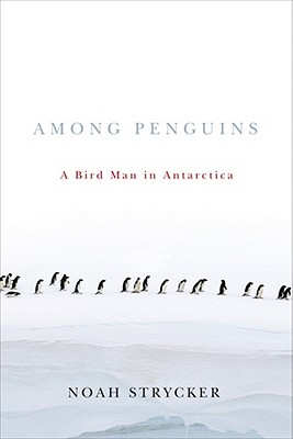 Among Penguins