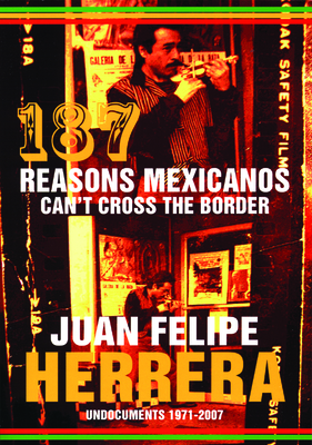 187 Reasons Mexicanos Can't Cross the Border