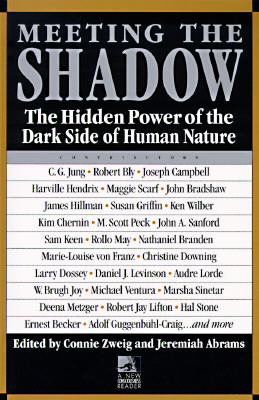 Meeting the Shadow