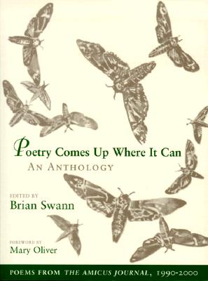 Poetry Comes Up Where It Can
