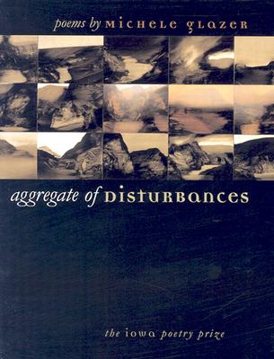 Aggregate of Disturbances