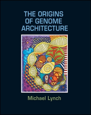 The Origins of Genome Architecture