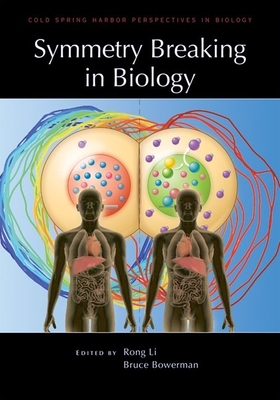 Symmetry Breaking in Biology