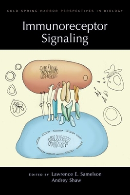 Immunoreceptor Signaling