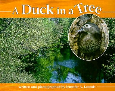 Duck in a Tree