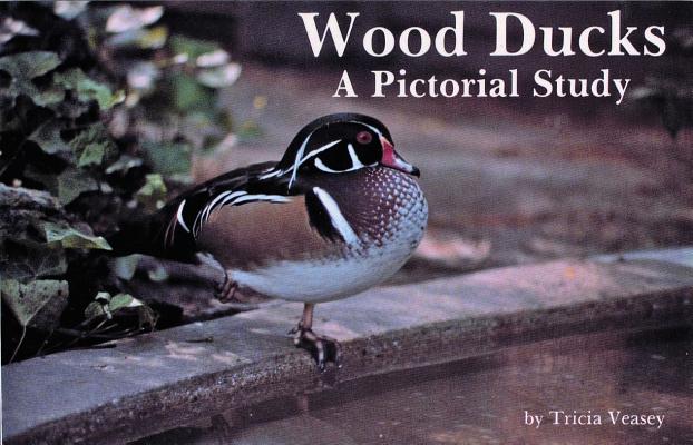 Wood Ducks