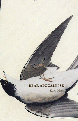 Dear Apocalypse