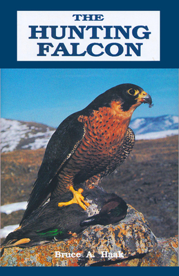 Hunting Falcon