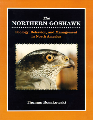 Northern Goshawk