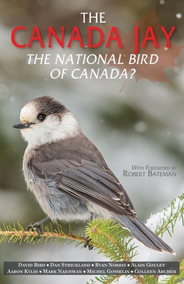 Canada Jay, The