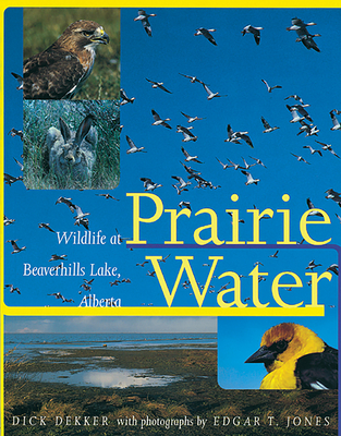 Prairie Water