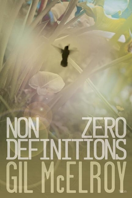 NonZero Definitions