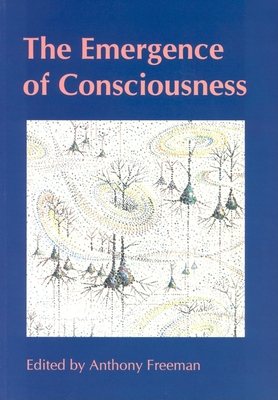 Emergence of Consciousness