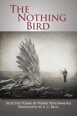 The Nothing Bird