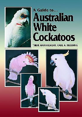 Australian White Cockatoos