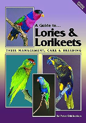 Lories and Lorikeets