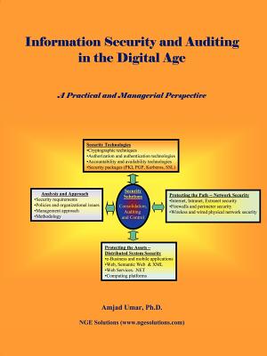 Information Security and Auditing in the Digital Age