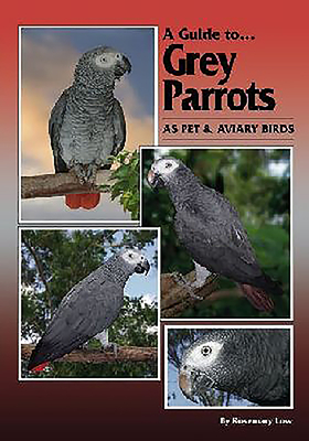 Guide to Grey Parrots as Pets and Aviary Birds