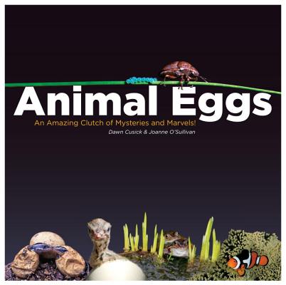 Animal Eggs