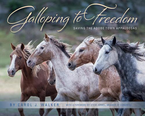 Galloping to Freedom