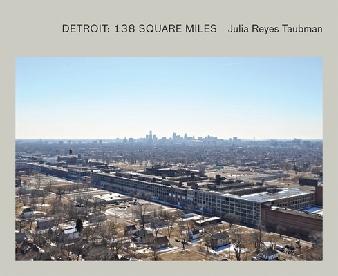 Julie Reyes Taubman - Detroit. 138 Square Miles