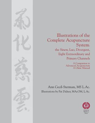 Illustrations of the Complete Acupuncture System