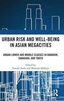 Urban Risk and Well-being in Asian Megacities
