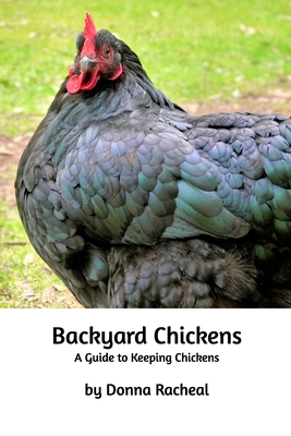 Backyard Chickens