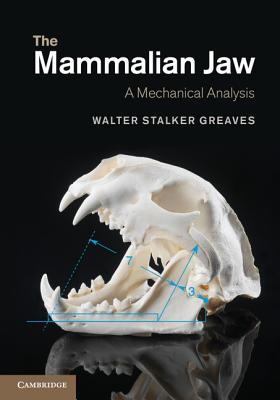 The Mammalian Jaw