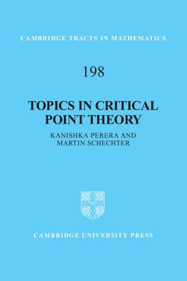 Topics in Critical Point Theory