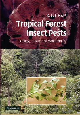 Tropical Forest Insect Pests