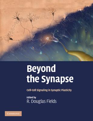 Beyond the Synapse